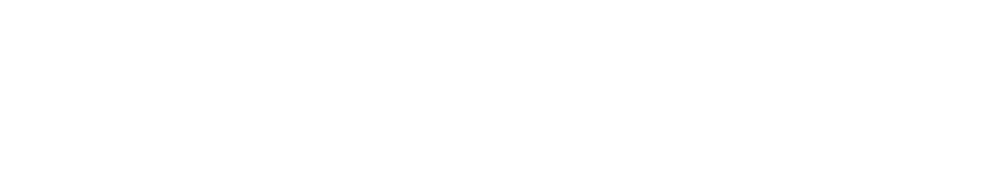 Bull Miners